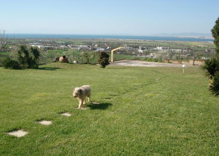 Apartment in Trilofos Thessaloniki