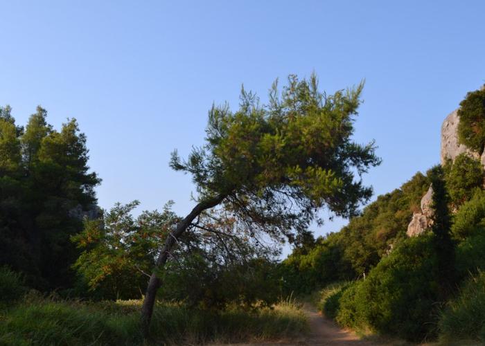 Διαμέρισμα στα Λουτρά Χαλκιδική