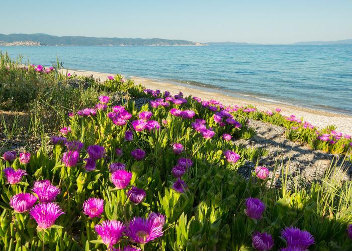 Villa Athos view Sithonia