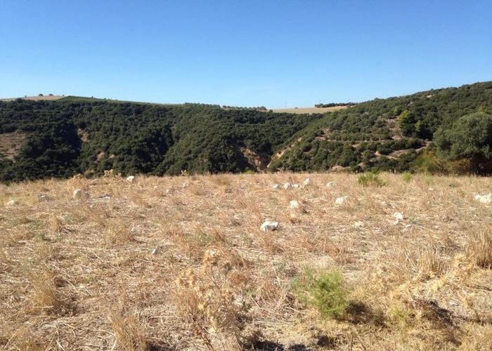 Γεωτεμάχιο στην Ιερισσό