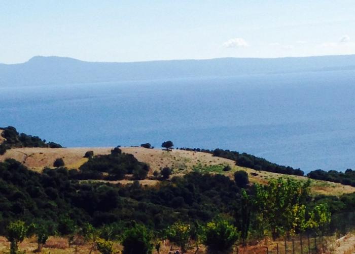 Land plot in Ierissos