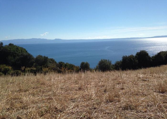 Land plot in Ierissos