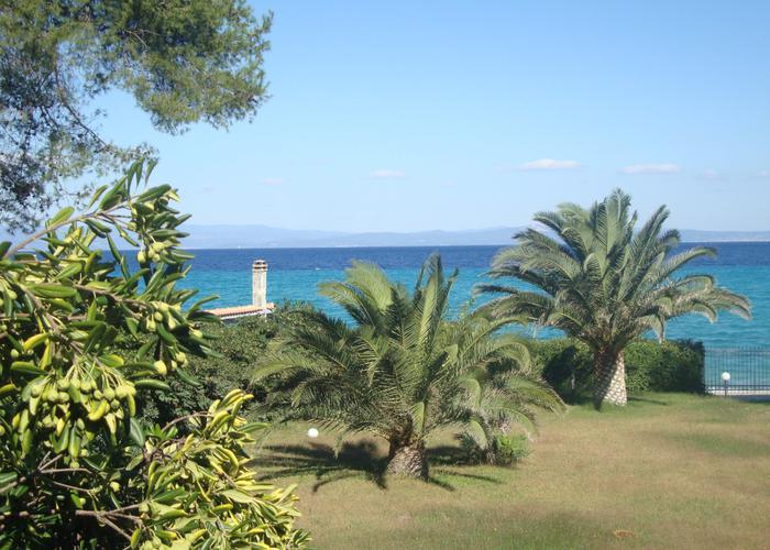 Villa Jasmine in Kassandra Chalkidiki