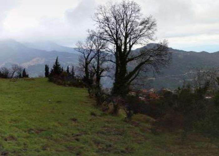 Land plot in Derveni Pyrgos