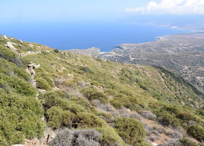 Land plot in Andros