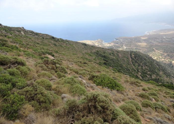 Land plot in Andros