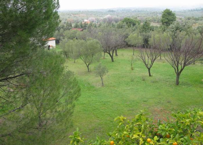 Κατοικία Φανή στην Νικήτη Σιθωνίας