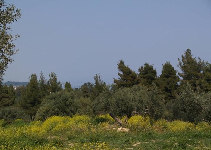 Μεζονέτες Νεάπολη στην Κρυοπηγή Κασσάνδρα