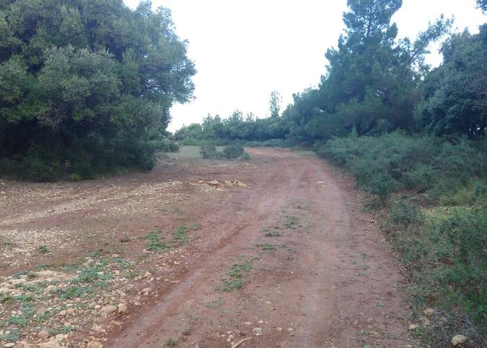 Land plot in Katakolo