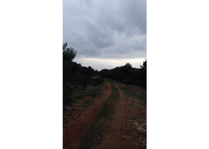 Land plot in Katakolo