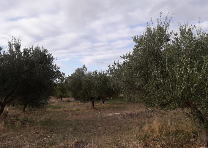 Γεωτεμάχιο στην Ρέθυμνο Κρήτη