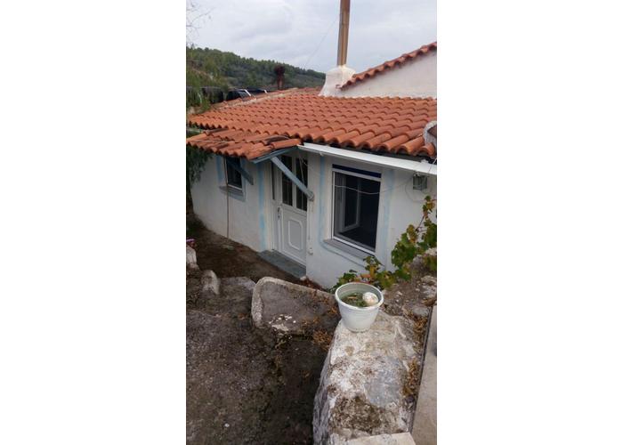 Land plot in Skopelos