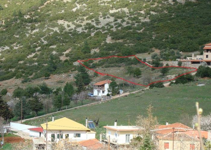 Land plot in Polydrossos