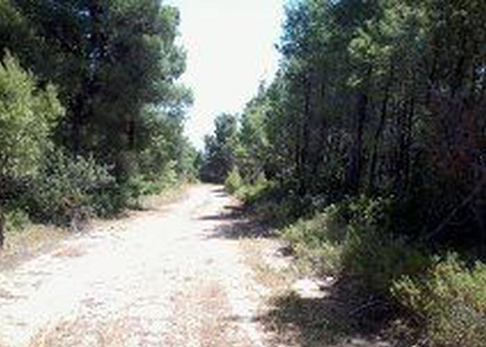 Land plot in Chalkidiki