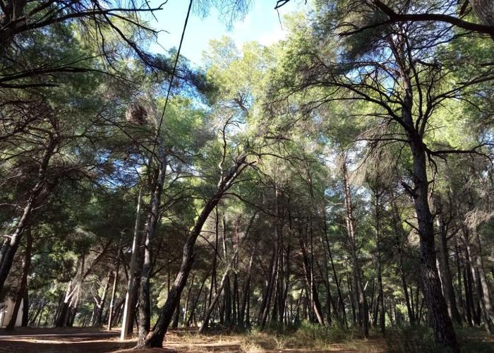 Διαμέρισμα στην Μεταμόρφωση Χαλκιδικής